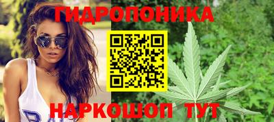 Альфа ПВП Пыть-Ях