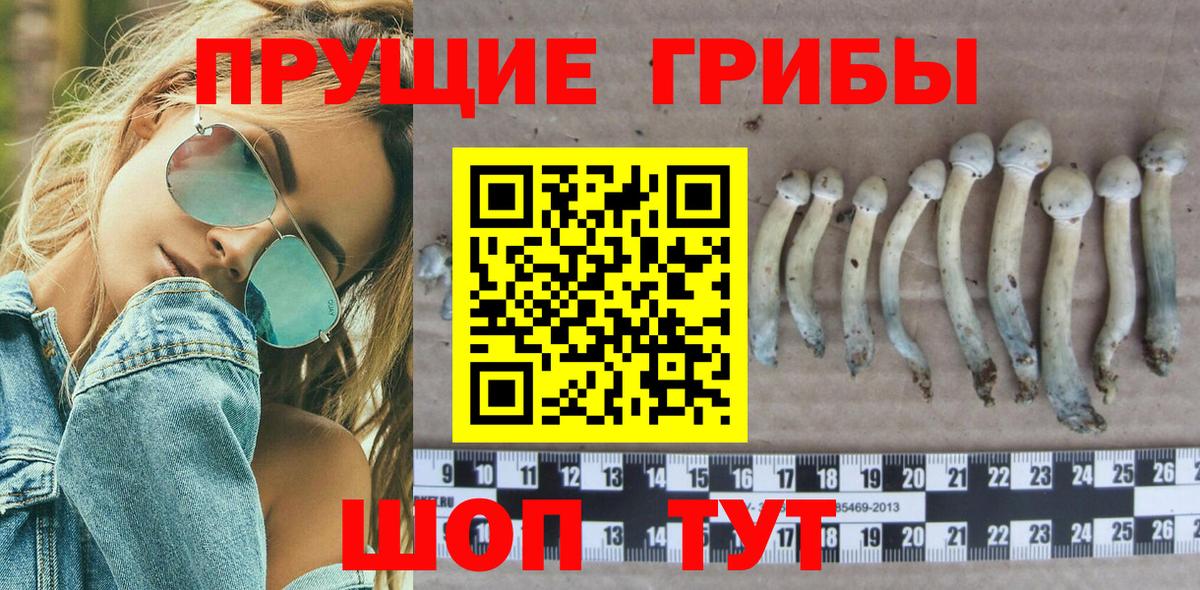 Галлюциногенные грибы Cubensis  Вход с VPN  Тихорецк 